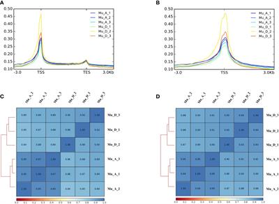 Integration of ATAC-seq and RNA-seq identifies active G-protein coupled receptors functioning in molting process in muscle of Eriocheir sinensis